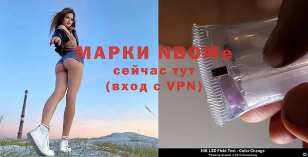 ешки Каменногорск