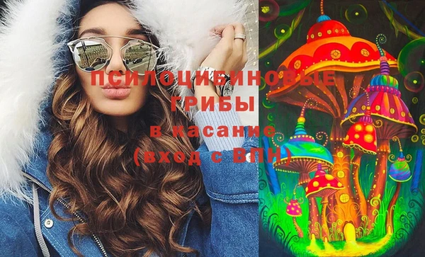 ешки Каменногорск