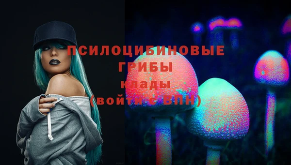 винт Каменск-Шахтинский